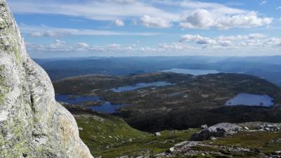 post-9055-0-65572300-1439920886_thumb.jp