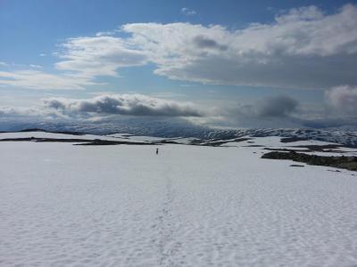 post-9701-0-77396700-1440143701_thumb.jp