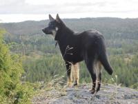 post-1044-0-37720300-1347828581_thumb.jp