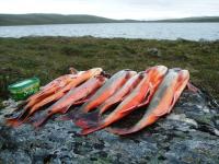 post-4016-0-19818100-1346699071_thumb.jp