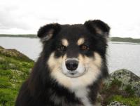 post-8184-0-00809000-1347819186_thumb.jp