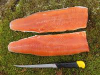 post-8487-0-96107600-1346700962_thumb.jp