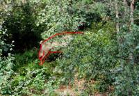 post-9370-0-00564900-1346682096_thumb.jp