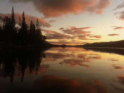 post-10401-0-13888700-1380575438_thumb.j