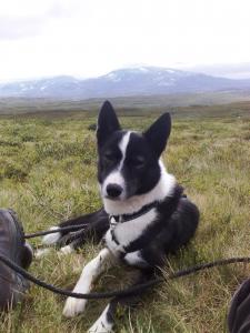 post-1047-0-28379000-1379797740_thumb.jp