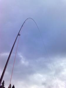 post-10482-0-00761900-1379524323_thumb.j