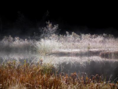 post-10482-0-53349800-1380398127_thumb.j