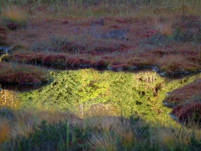 post-10482-0-54972600-1380040206_thumb.j