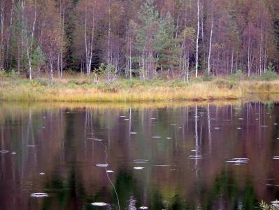 post-10482-0-92613400-1379524310_thumb.j