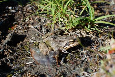 post-11774-0-30367100-1379451634_thumb.j