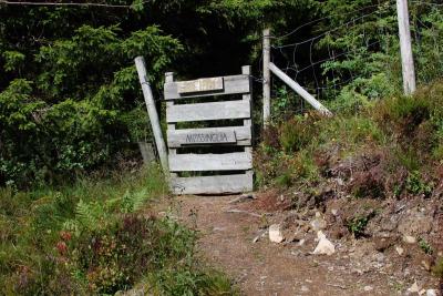 post-11774-0-32010700-1379451531_thumb.j