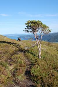 post-11774-0-67417100-1379451616_thumb.j