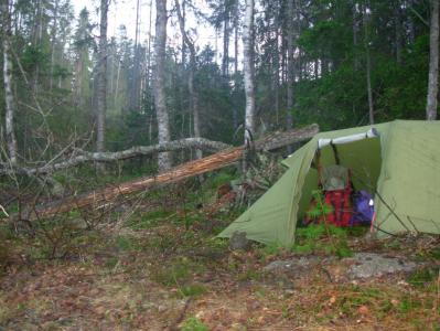 post-11774-0-84450400-1379540025_thumb.j