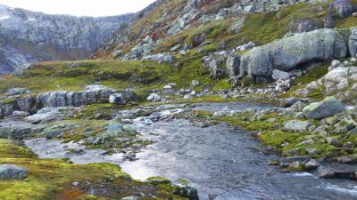 post-12082-0-24782500-1379879459_thumb.j