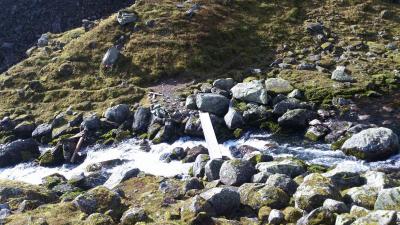 post-12082-0-82338800-1379878416_thumb.j