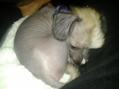 post-12630-0-57307800-1380527176_thumb.j