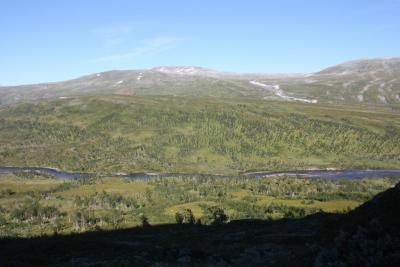 post-12642-0-02137600-1378584207_thumb.j