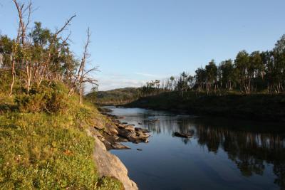 post-12642-0-09044000-1378587730_thumb.j