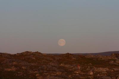 post-12642-0-16292200-1378582471_thumb.j