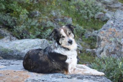 post-12642-0-23416800-1378584216_thumb.j