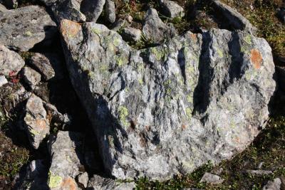 post-12642-0-36240600-1378584254_thumb.j