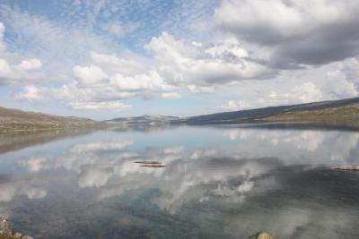 post-12642-0-39923400-1378587227_thumb.j