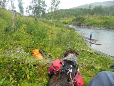 post-12642-0-45406300-1378587867_thumb.j