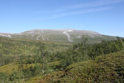 post-12642-0-46935200-1378584186_thumb.j