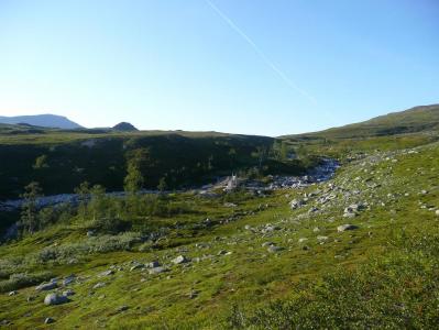 post-12642-0-48607300-1378582967_thumb.j