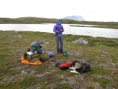 post-12642-0-57202500-1378588029_thumb.j