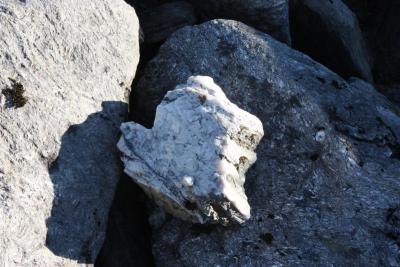 post-12642-0-60475000-1378584273_thumb.j