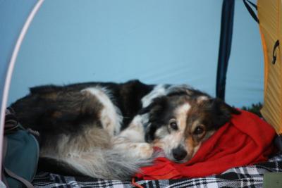 post-12642-0-64097500-1378588284_thumb.j