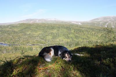 post-12642-0-71709100-1378584197_thumb.j