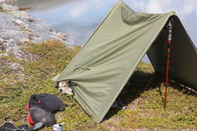 post-12642-0-71947100-1378587219_thumb.j