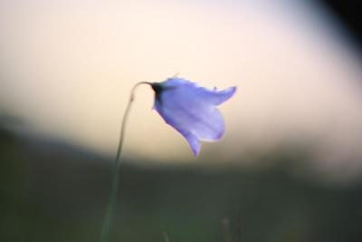 post-12642-0-77475400-1378588268_thumb.j