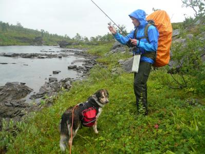 post-12642-0-85854100-1378587888_thumb.j