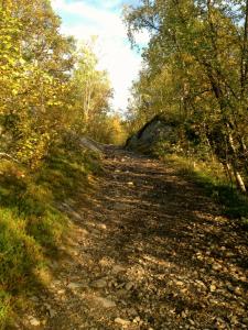 post-13037-0-04127200-1378325566_thumb.j