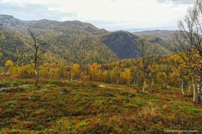 post-13037-0-13612000-1379342200_thumb.j