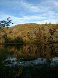 post-13037-0-16215900-1378325613_thumb.j