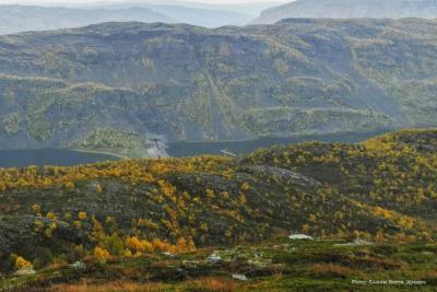 post-13037-0-26757200-1379342210_thumb.j