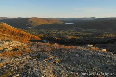 post-13037-0-33281000-1378767965_thumb.j