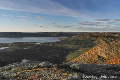 post-13037-0-67642200-1378767947_thumb.j