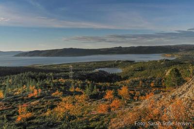 post-13037-0-88087300-1378767900_thumb.j