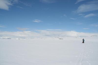 post-6611-0-89740300-1380144399_thumb.jp