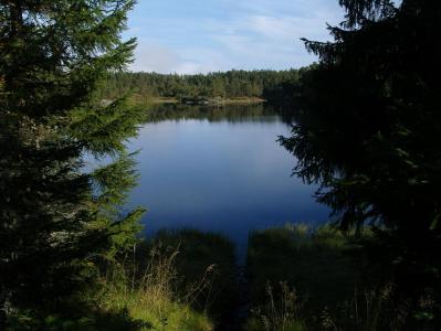 post-6789-0-05302800-1379178751_thumb.jp