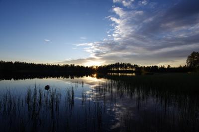 post-7957-0-47749000-1379100135_thumb.jp