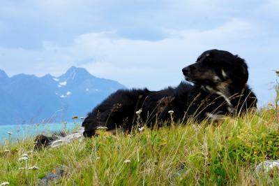 post-7957-0-69344900-1378753525_thumb.jp