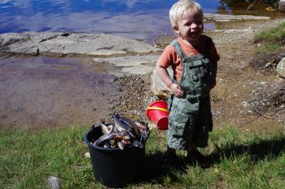 post-7957-0-74804600-1379100118_thumb.jp