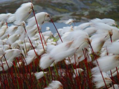 post-8883-0-48720500-1379933800_thumb.jp