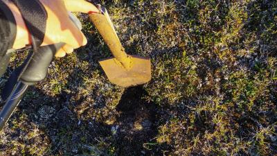 post-10401-0-82463200-1410297449_thumb.j